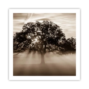 Poster - Boom van goede kennis alleen - 60x60 cm