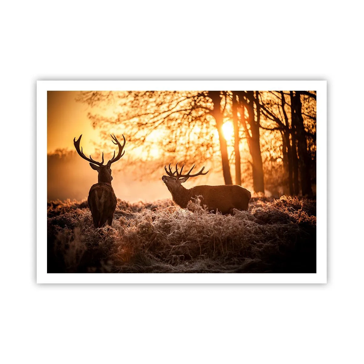 Poster - De droom van een jager - 100x70 cm