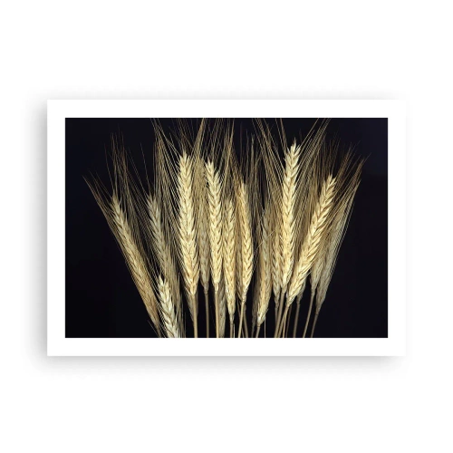 Poster - Rustieke magie - 70x50 cm