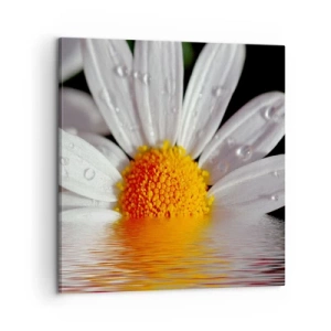 Schilderen op canvas - De rijzende zon van madeliefjes - 60x60 cm