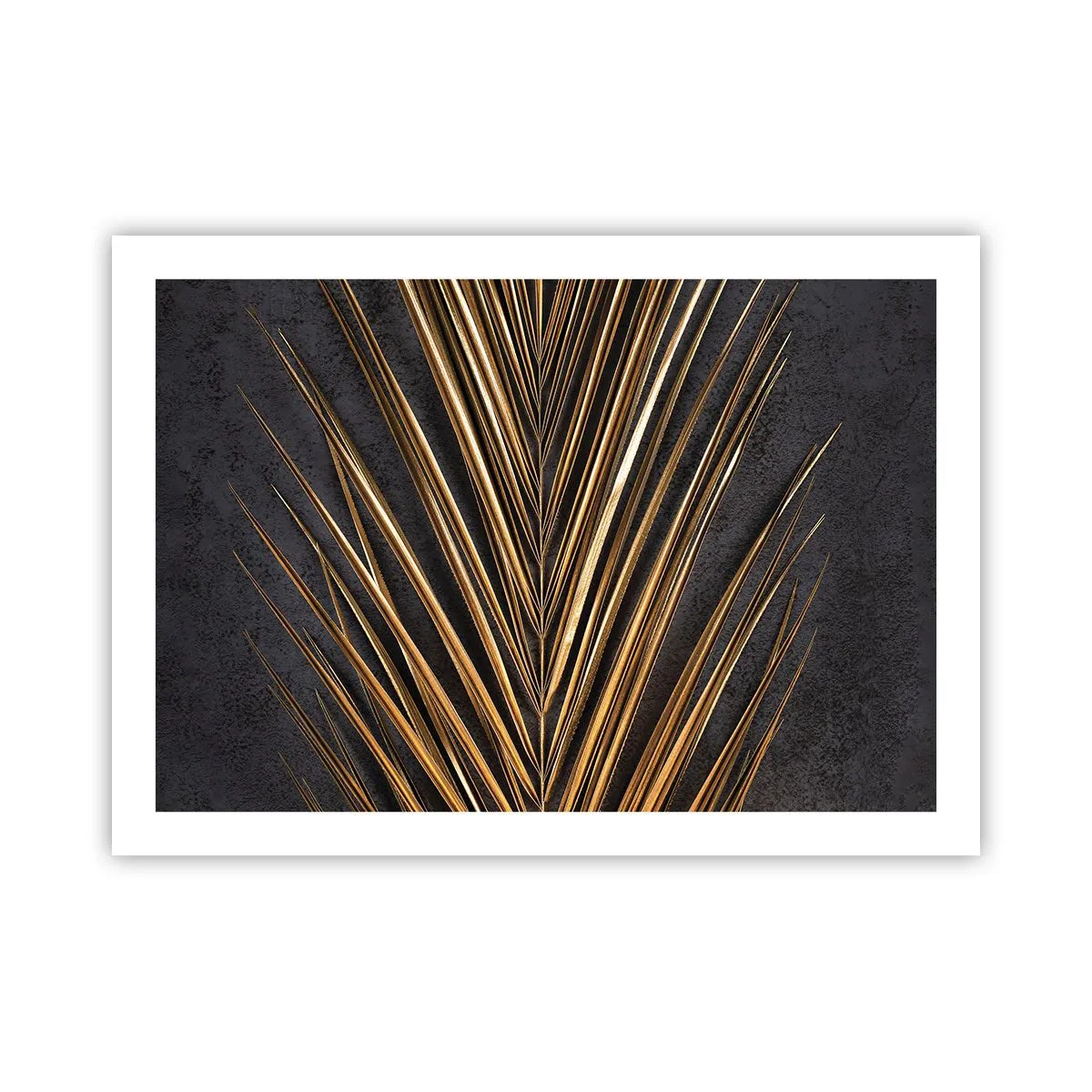 Poster - Het goud van de tropen - 70x50 cm