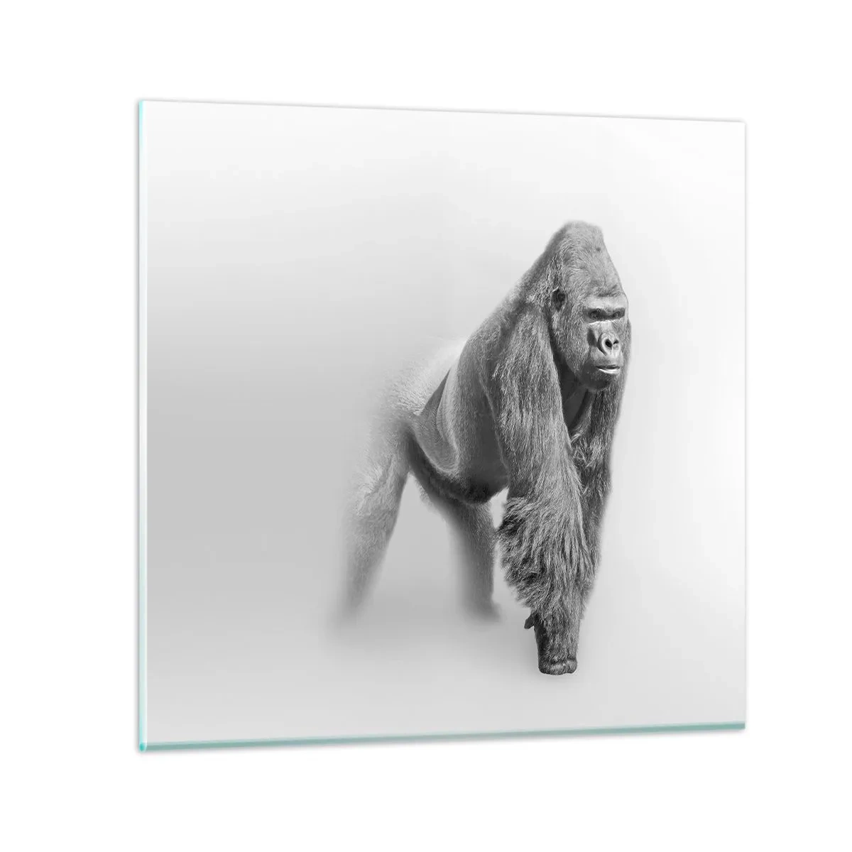 Schilderen op glas - Vertrouwen in zijn kracht - 60x60 cm