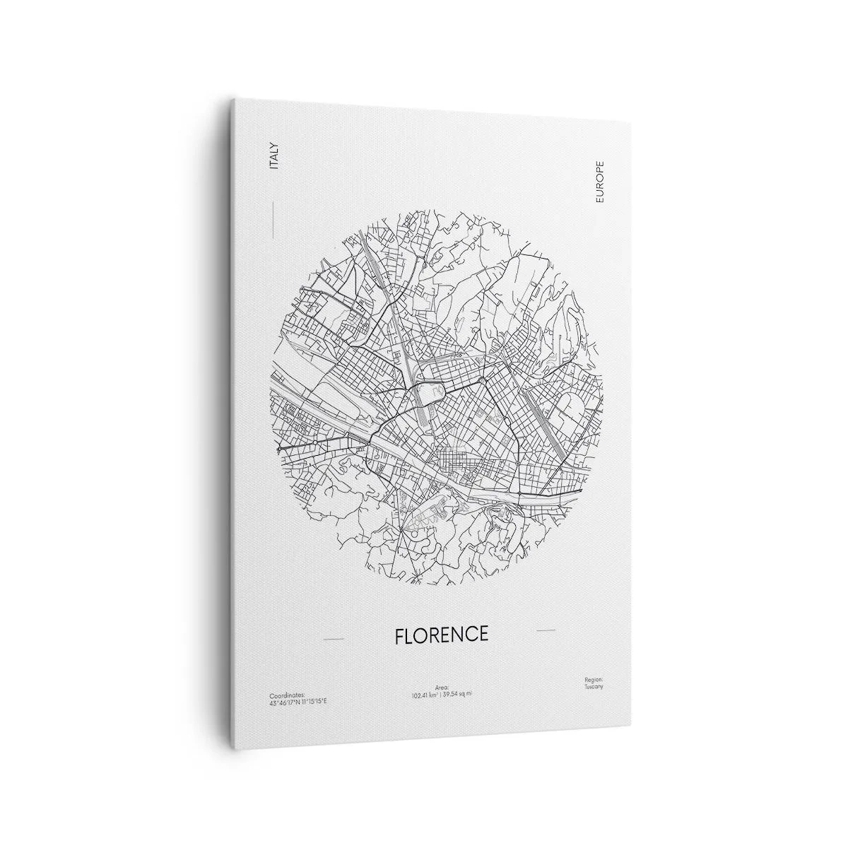 Schilderen op canvas - Anatomie van Florencia - 70x100 cm