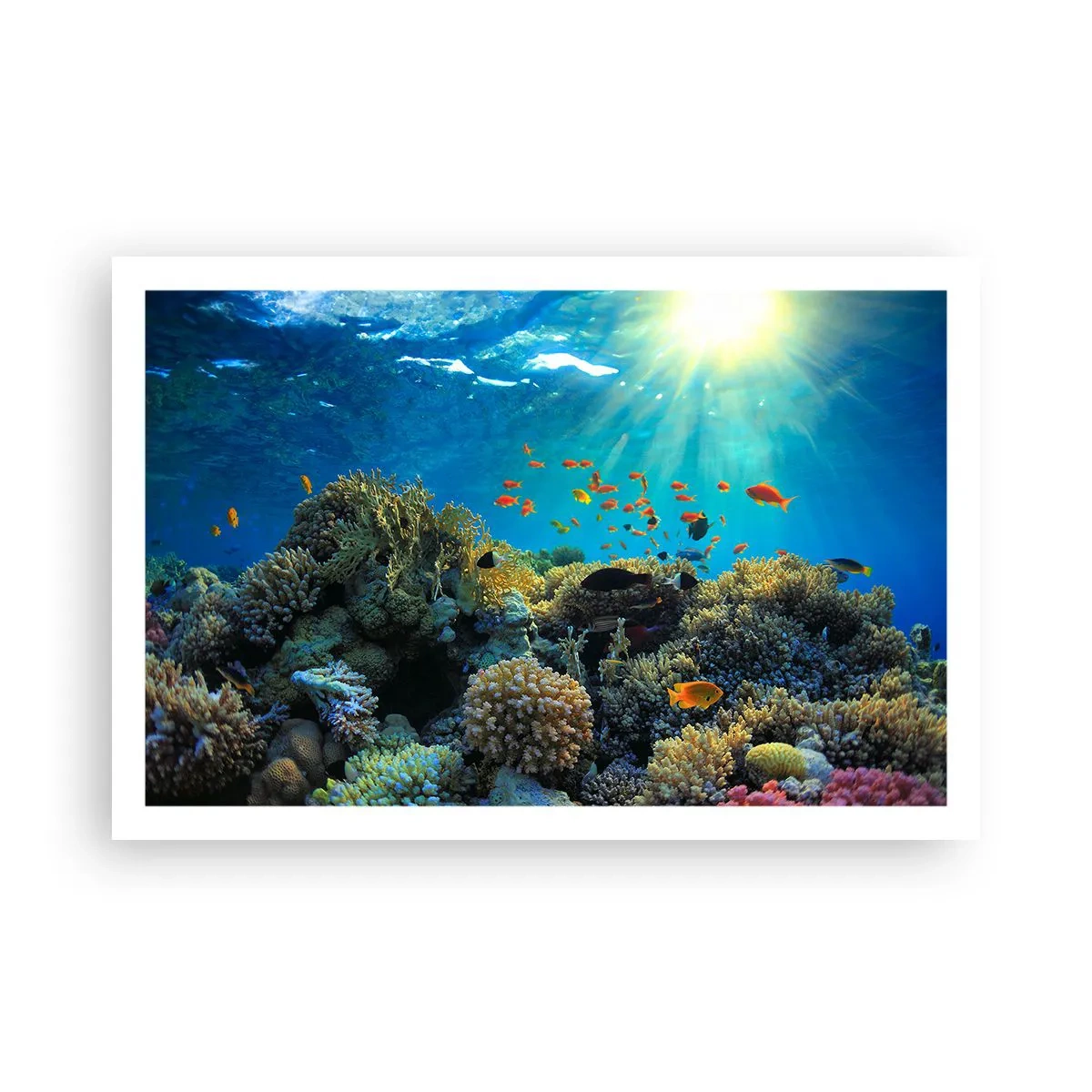 Poster - Onderwater schatten - 91x61 cm