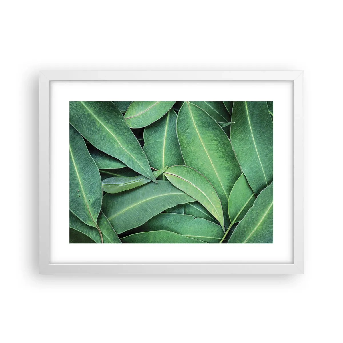 Poster in een witte lijst - Sappig en fris - 40x30 cm