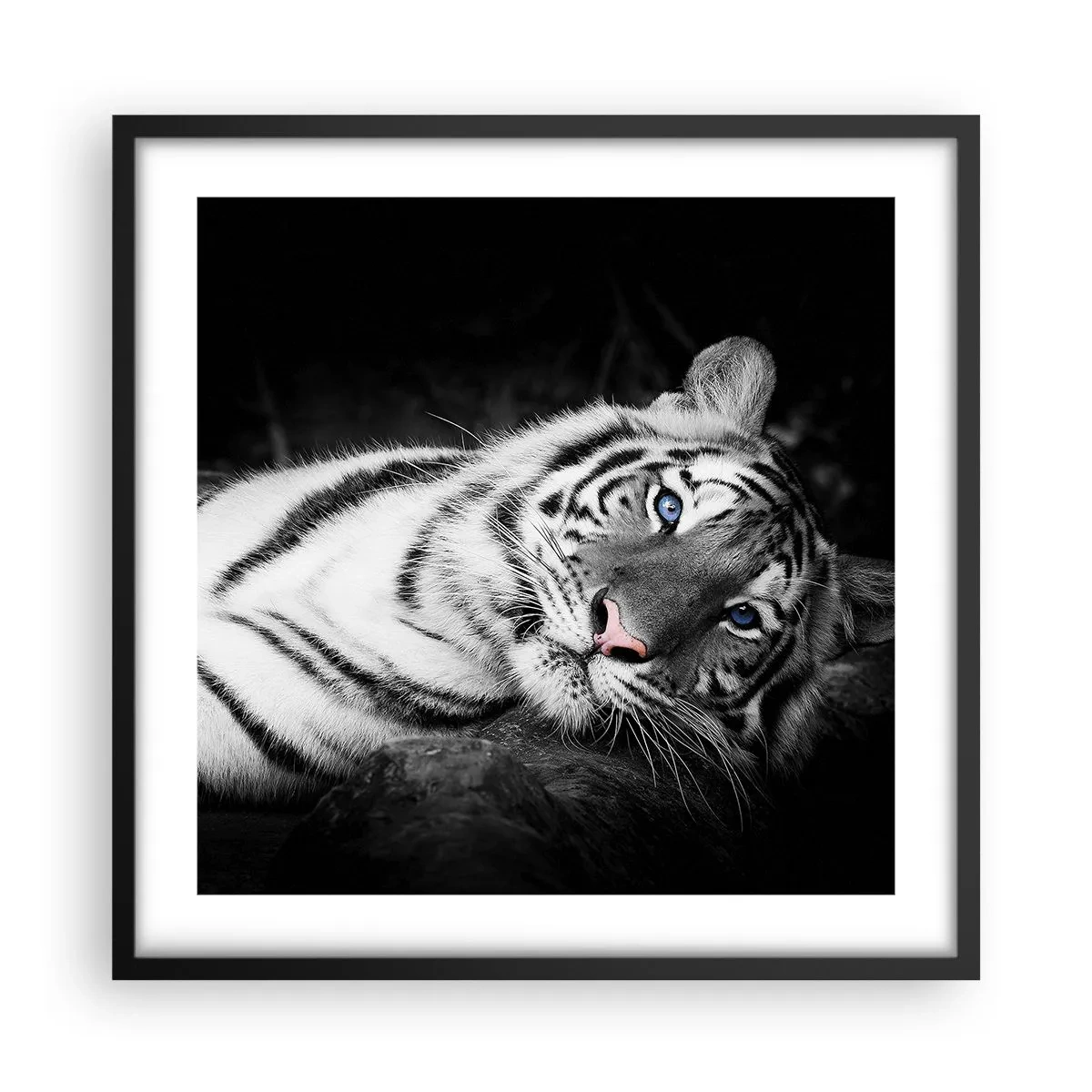 Poster in een zwarte lijst - Wildheid en vrede - 50x50 cm