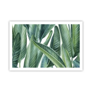 Poster - Groen zelf - 91x61 cm