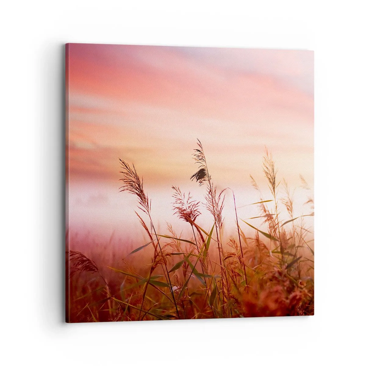 Schilderen op canvas - Vliegers, paardebloemen, wind - 70x70 cm