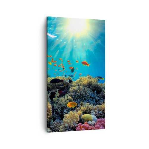 Schilderen op canvas - Onderwater schatten - 45x80 cm