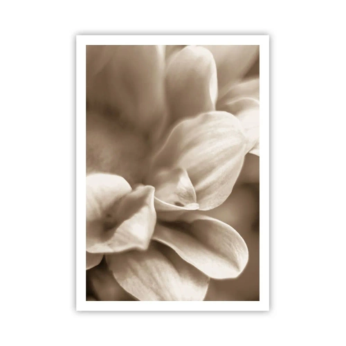 Poster - Zo zacht als een glimlach - 70x100 cm