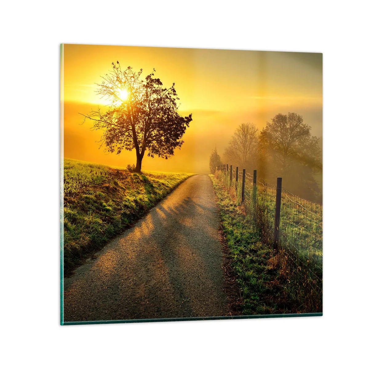 Schilderen op glas - Honingmiddag - 70x70 cm