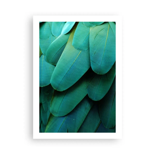 Poster - Papegaaiachtige precisie - 50x70 cm