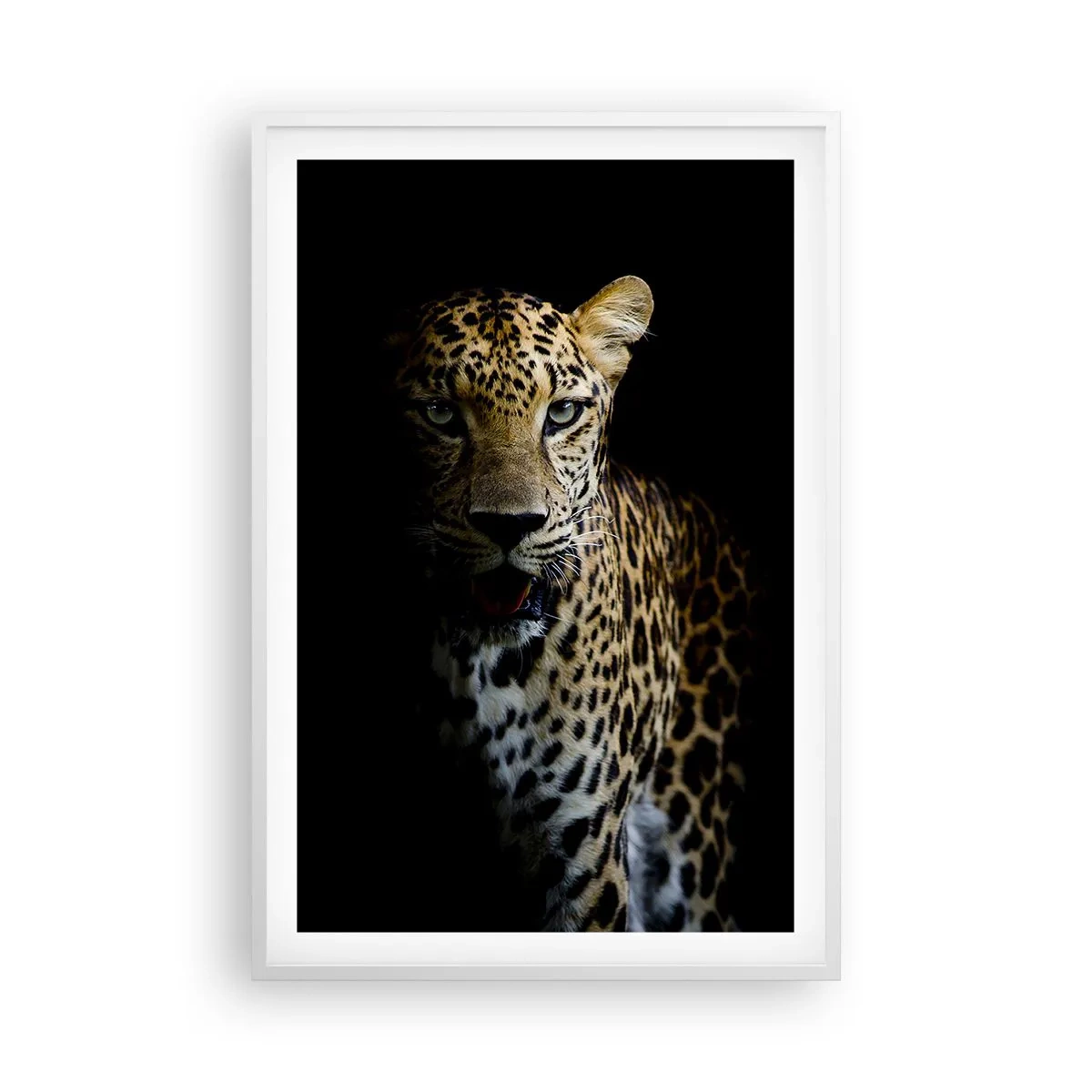 Poster in een witte lijst - Donkere schoonheid - 61x91 cm