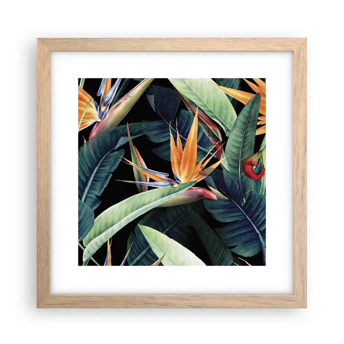 Een poster in een licht eiken lijst - Vlammende bloemen van de tropen - 30x30 cm