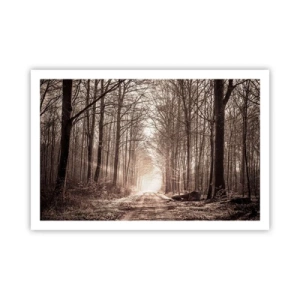 Poster - Boskathedraal - 91x61 cm