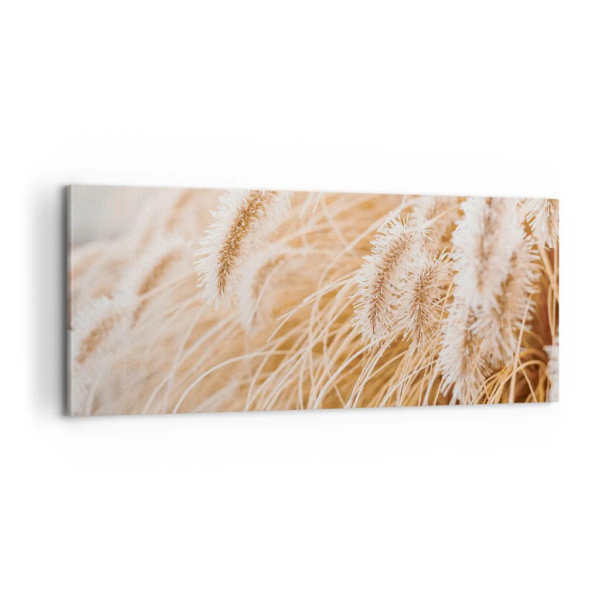 Schilderen op canvas - Het gouden geritsel van het gras - 100x40 cm
