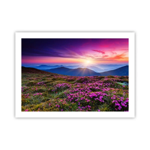 Poster - Kruiden roken naar verse trossen van de velden - 70x50 cm