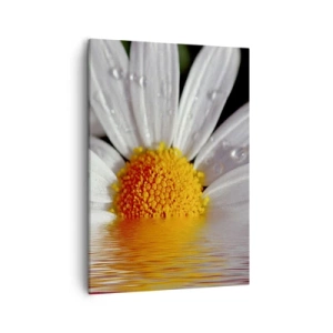 Schilderen op canvas - De rijzende zon van madeliefjes - 50x70 cm