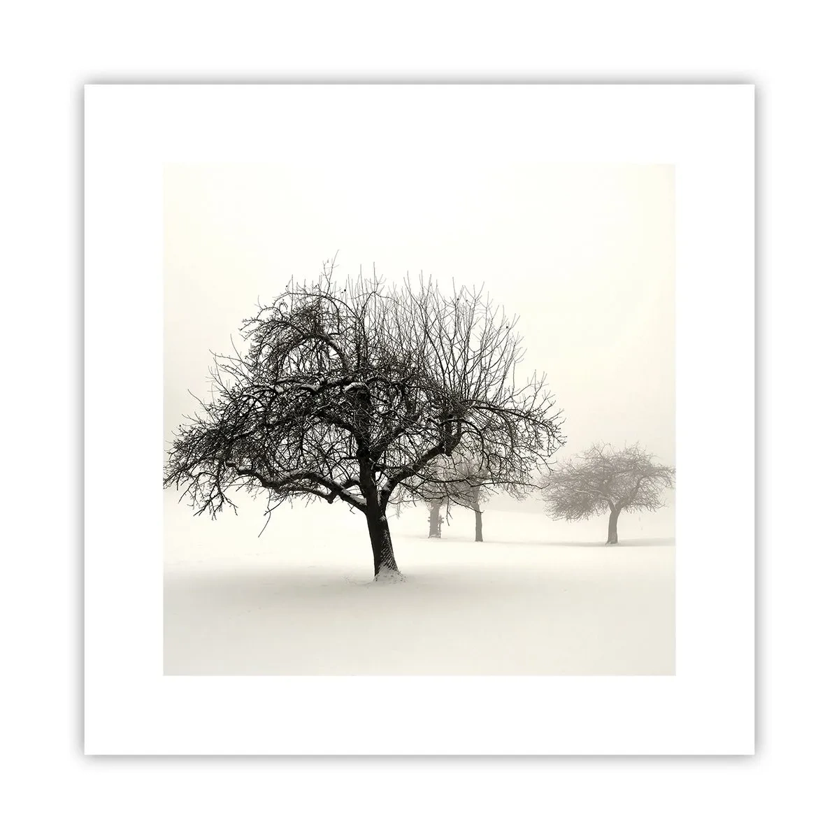 Poster - Winterslaap - 30x30 cm