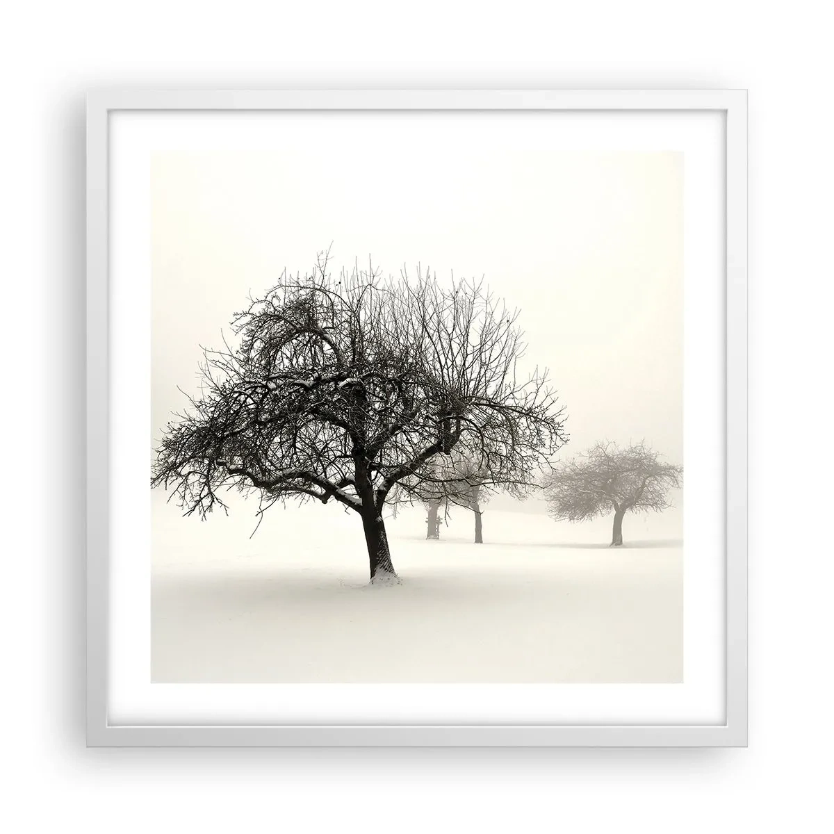 Poster in een witte lijst - Winterslaap - 50x50 cm