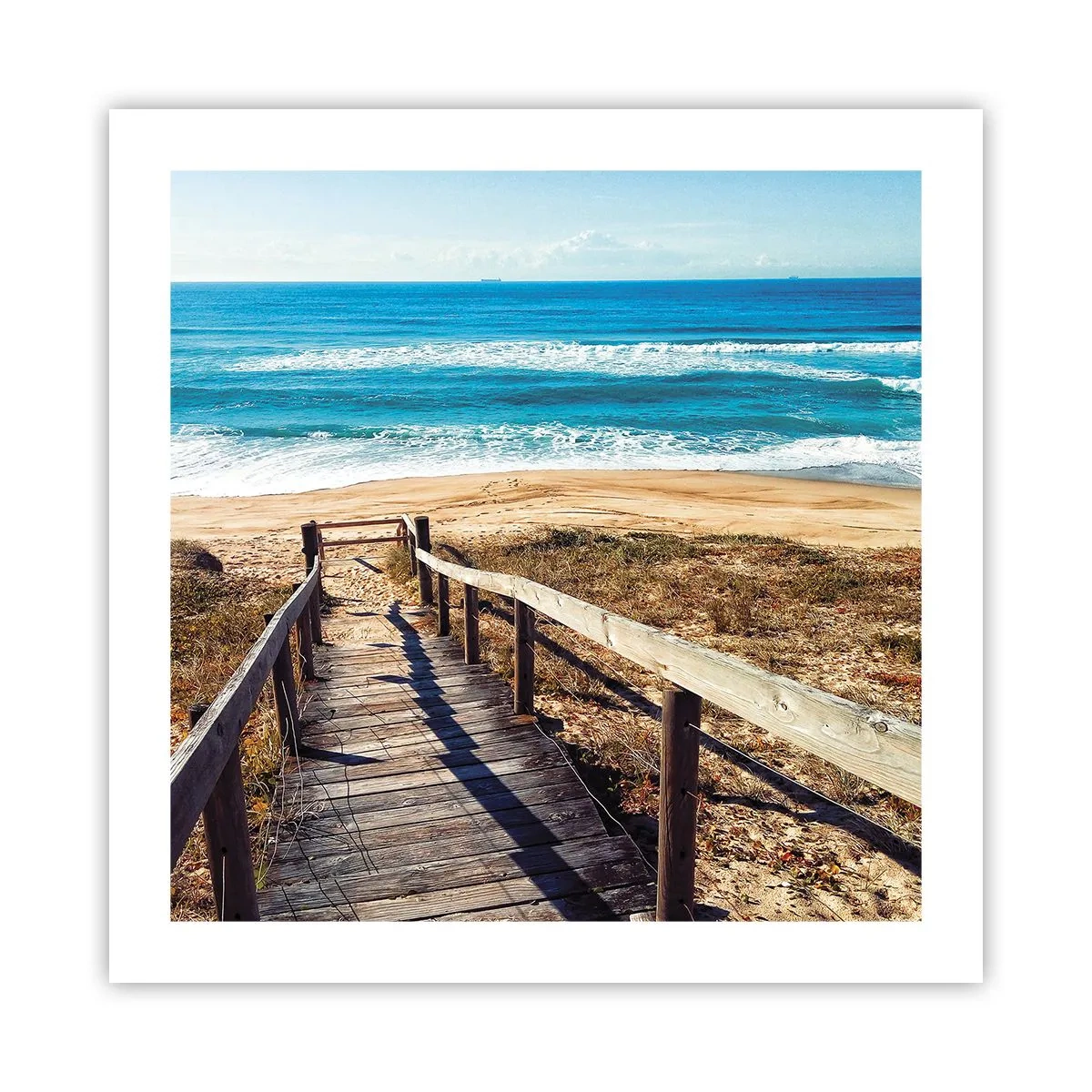 Poster - Loop maar! - 50x50 cm