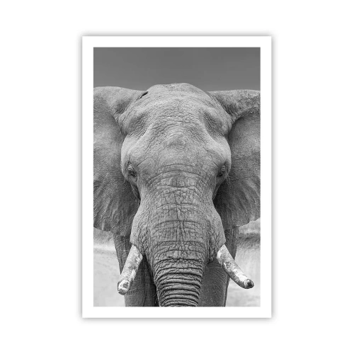 Poster - Welkom in mijn wereld - 61x91 cm