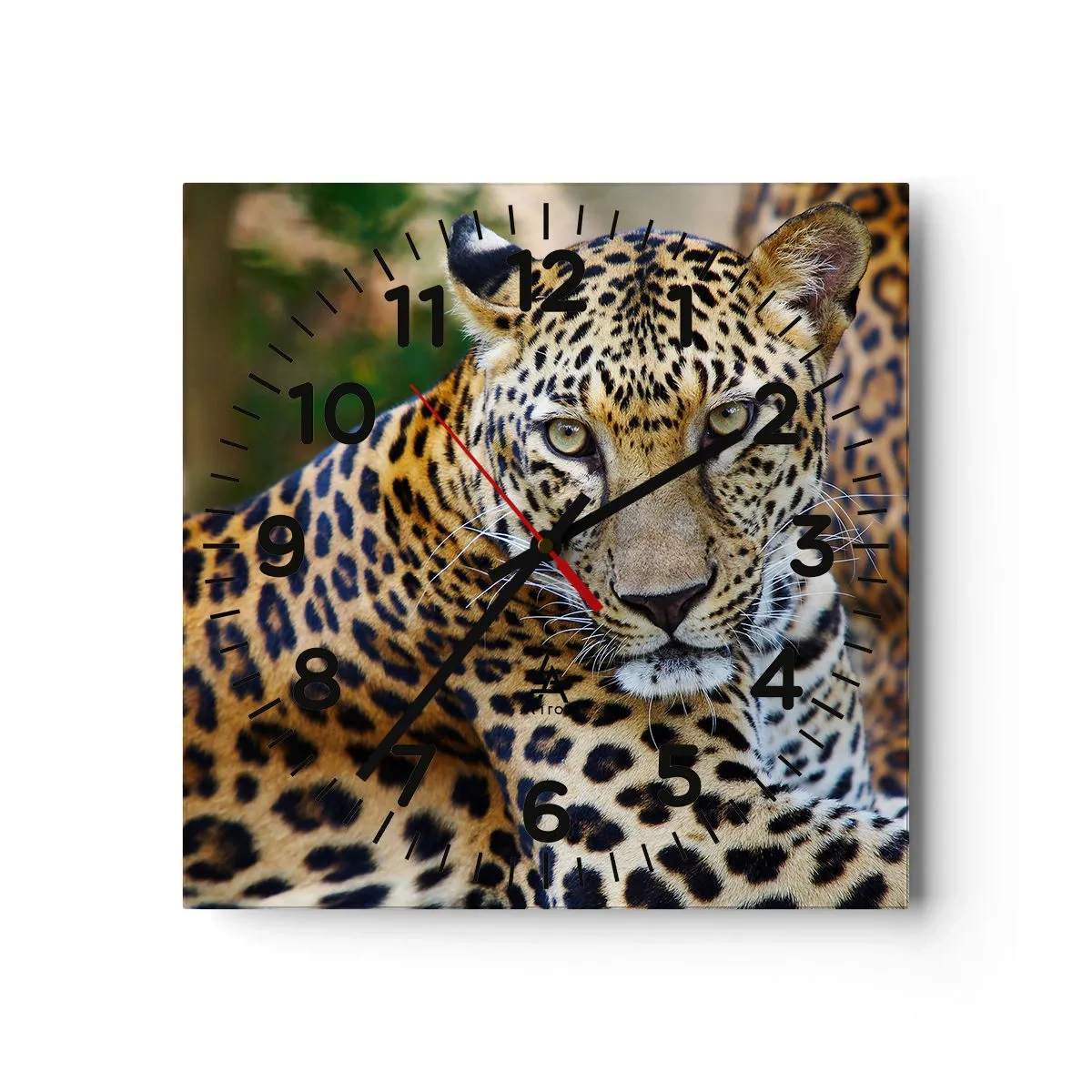 Wandklok - Klok - Wild en kalm - 40x40 cm