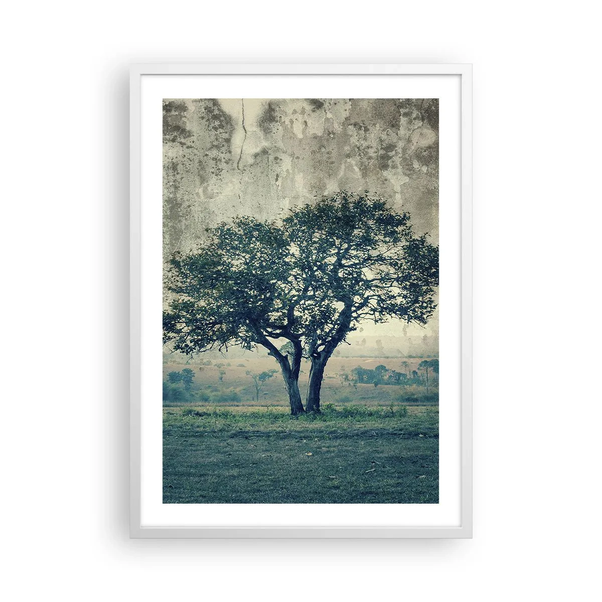Poster in een witte lijst - Een appelboom op een blauw veld? - 50x70 cm