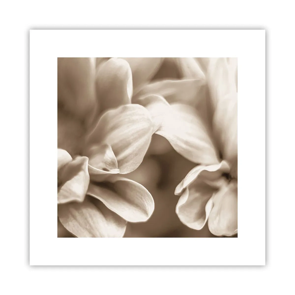 Poster - Zo zacht als een glimlach - 30x30 cm