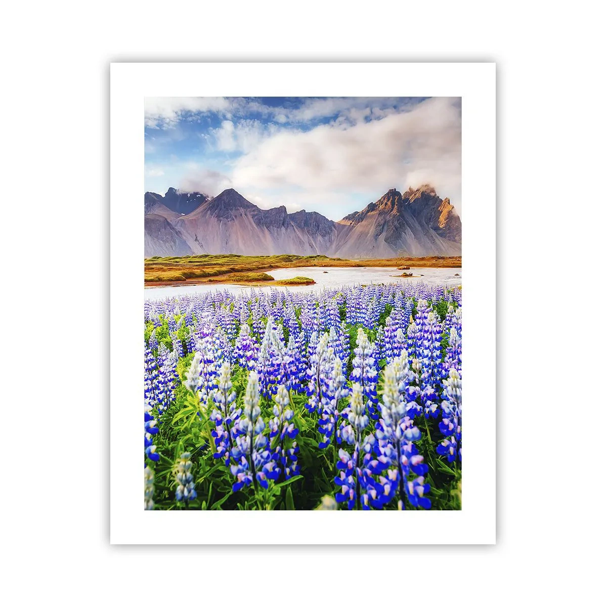 Poster - Kracht en soberheid naast zachtheid - 40x50 cm