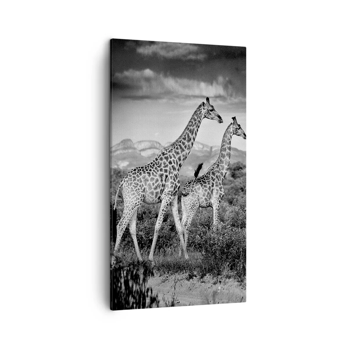 Schilderen op canvas - Hoge sferen in Afrika - 45x80 cm