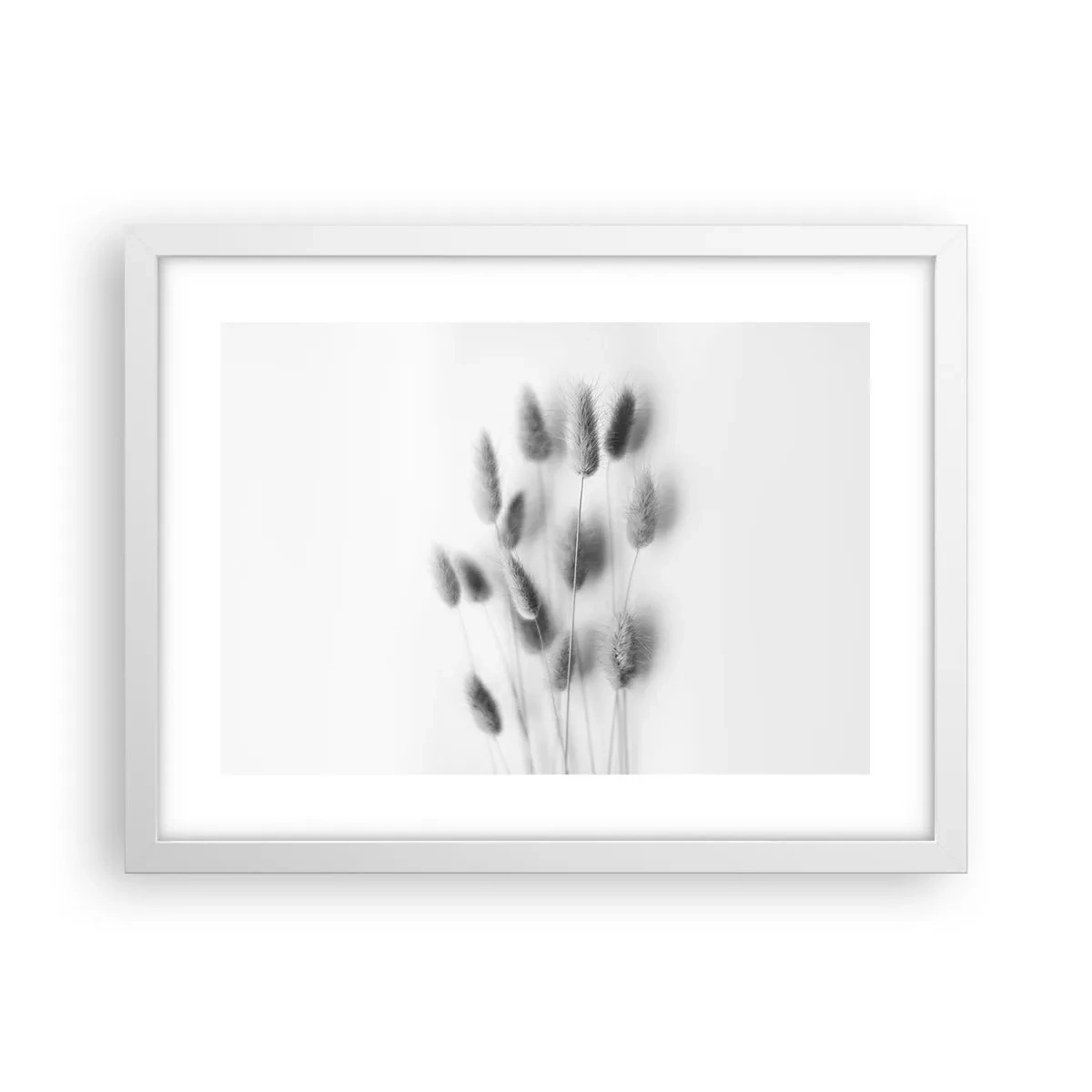 Poster in een witte lijst - Haar luchtigheid gras - 40x30 cm