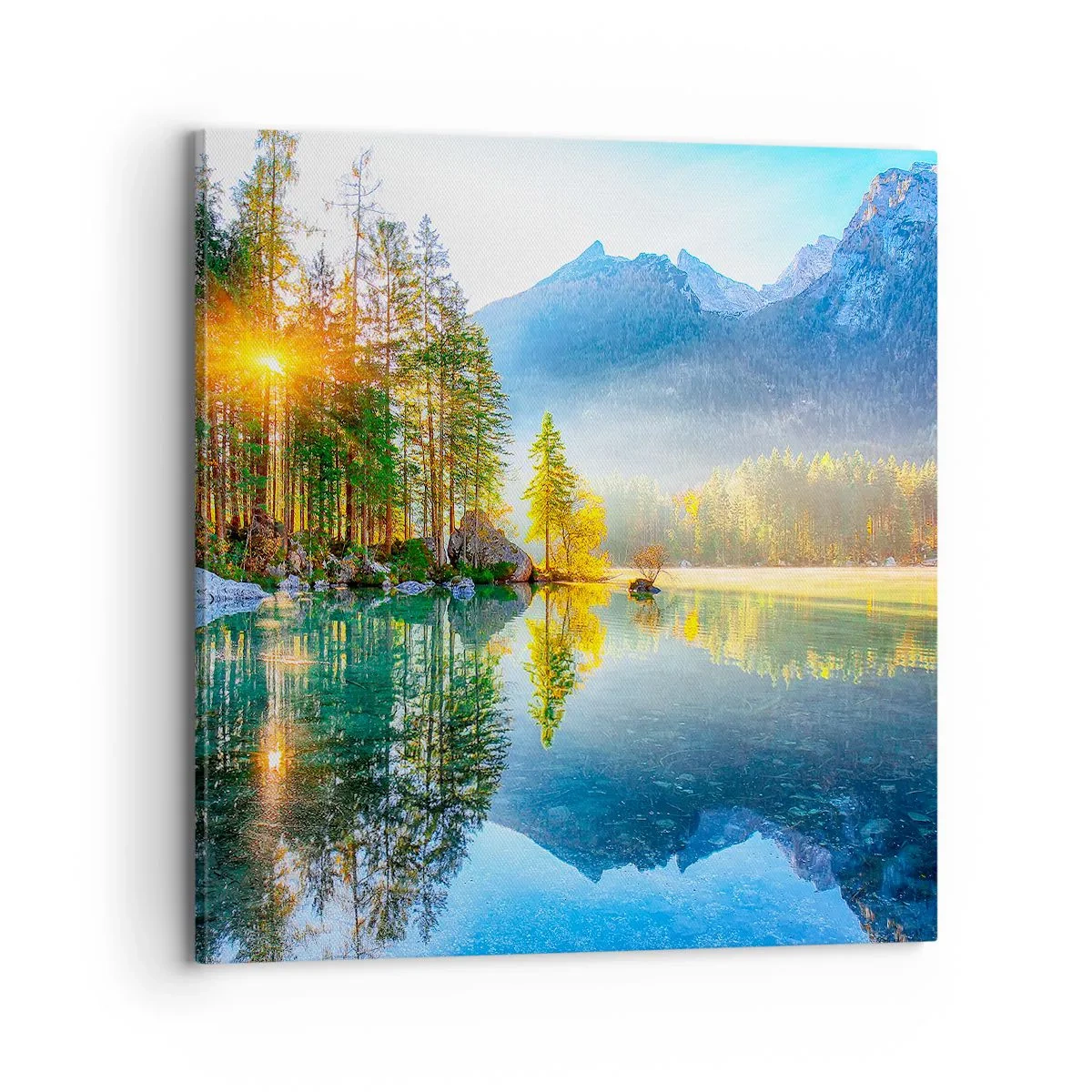 Schilderen op canvas - Majesteit en zoetheid - 70x70 cm