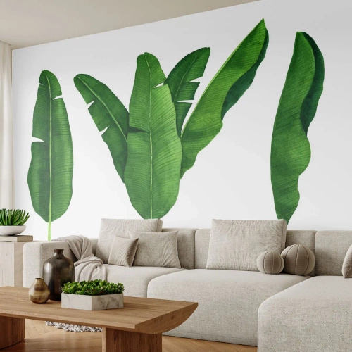 Zelfklevend Fotobehang Deluxe Sticker - Groene symmetrie - Bananenblad, Tropisch, Botanische stijl - 250x175 cm