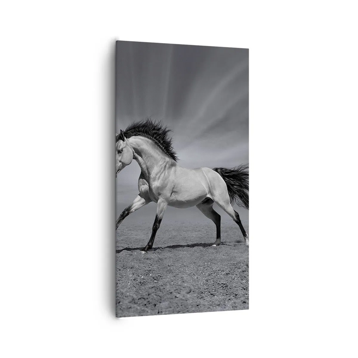 Schilderen op canvas - Geboren om te genieten - 65x120 cm
