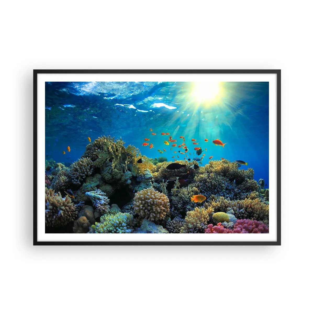 Poster in een zwarte lijst - Onderwater schatten - 100x70 cm