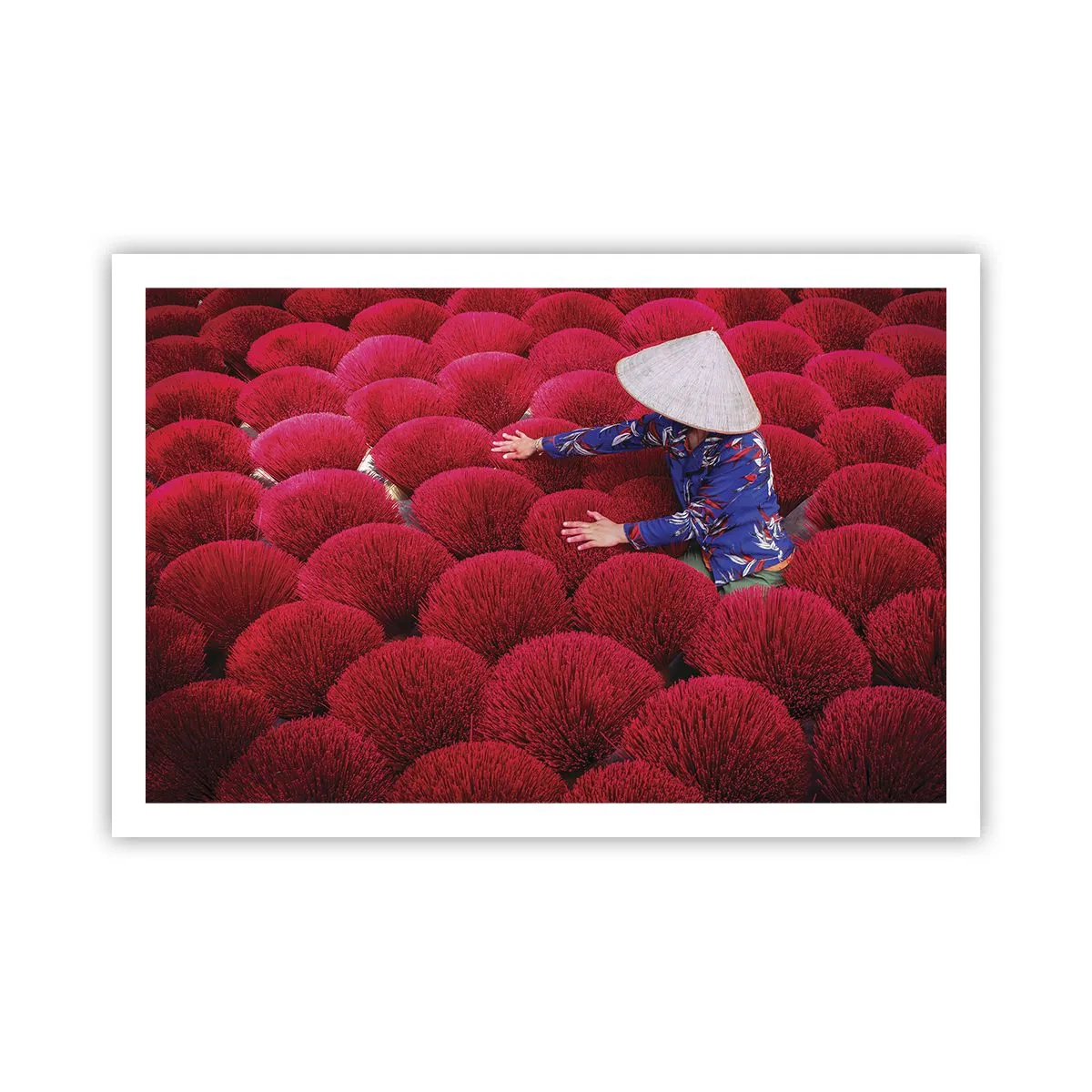 Poster - In het rijstveld - 91x61 cm