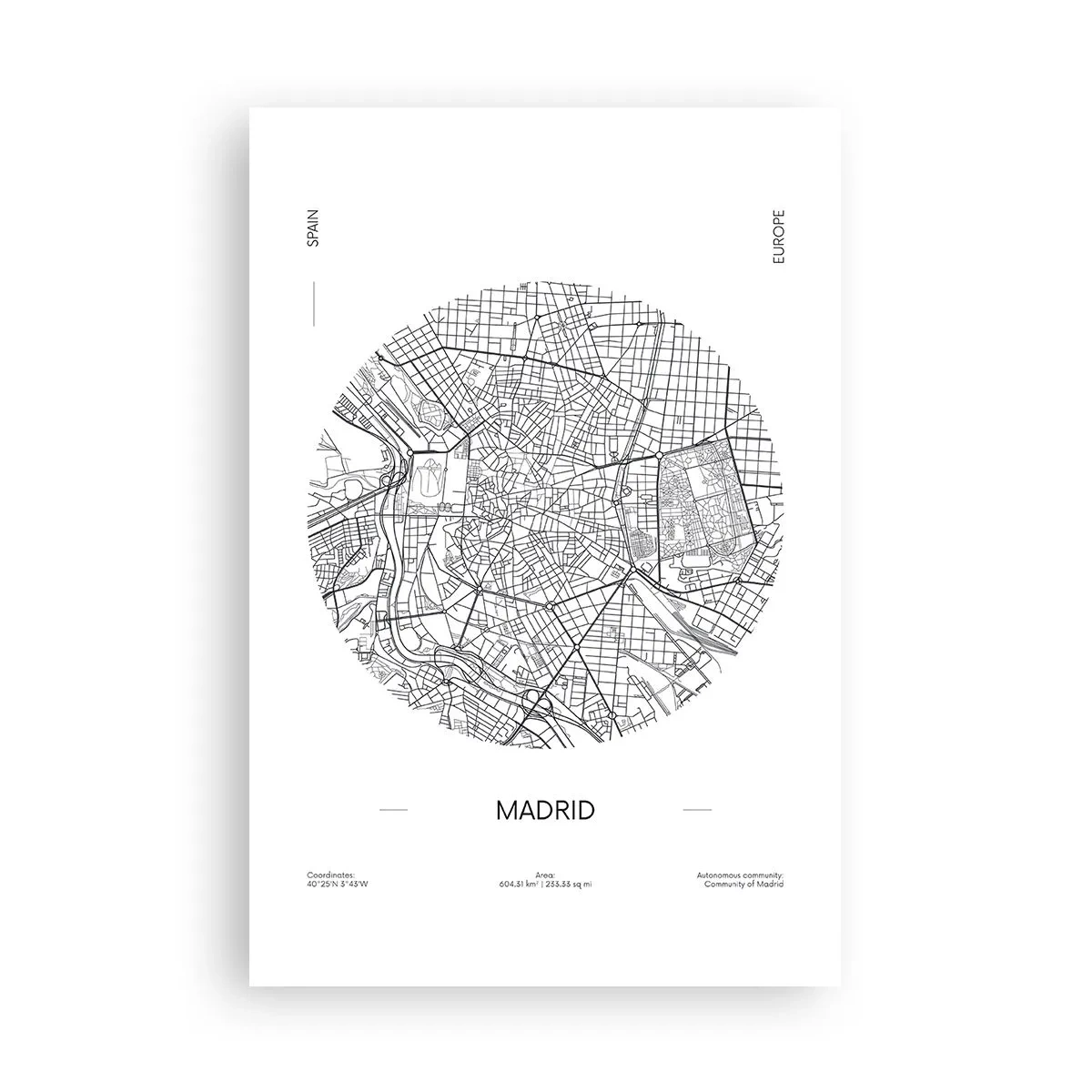 Poster - Anatomie van Madrid - 61x91 cm