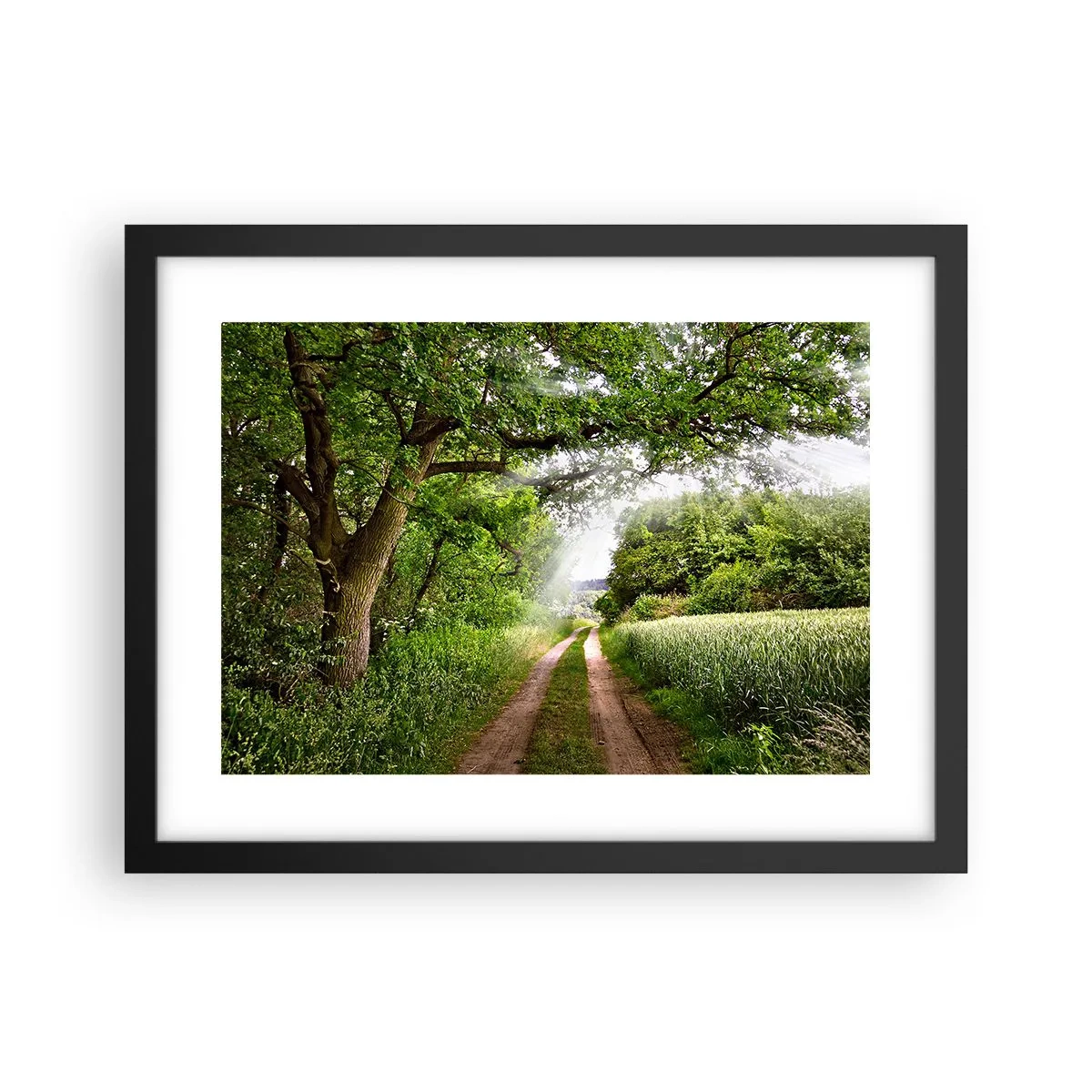 Poster in een zwarte lijst - Et in Arcadia ego - 40x30 cm