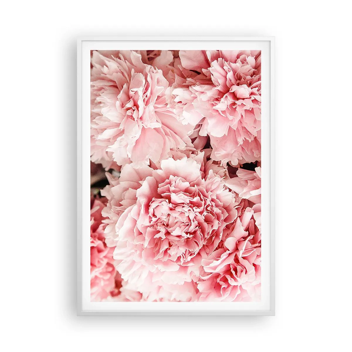 Poster in een witte lijst - Roze droom - 70x100 cm