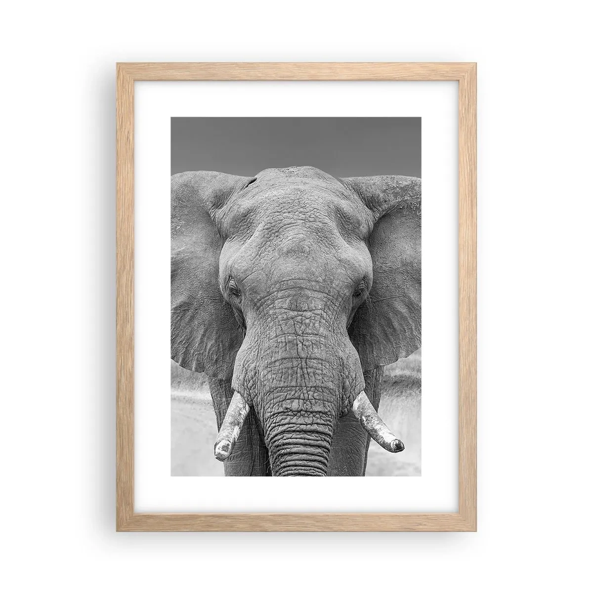 Een poster in een licht eiken lijst - Welkom in mijn wereld - 30x40 cm