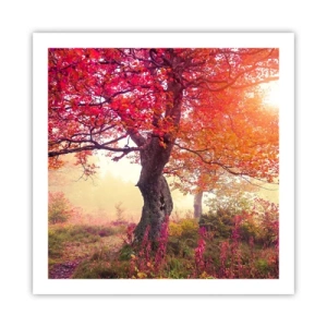 Poster - Bloeiende razernij - 60x60 cm