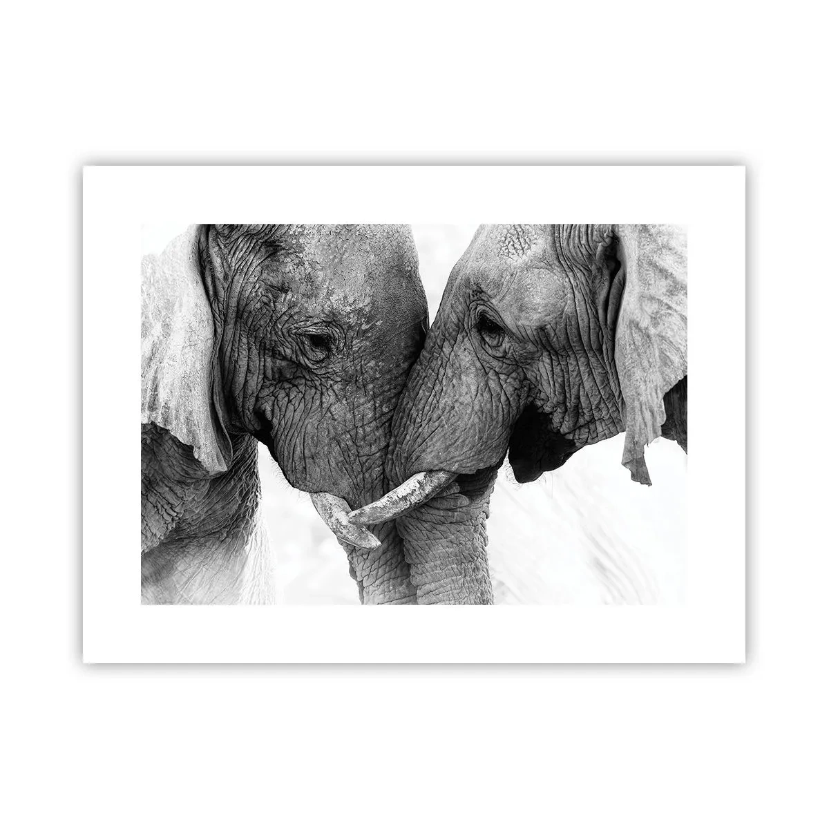Poster - Oprechte bekentenis - 40x30 cm