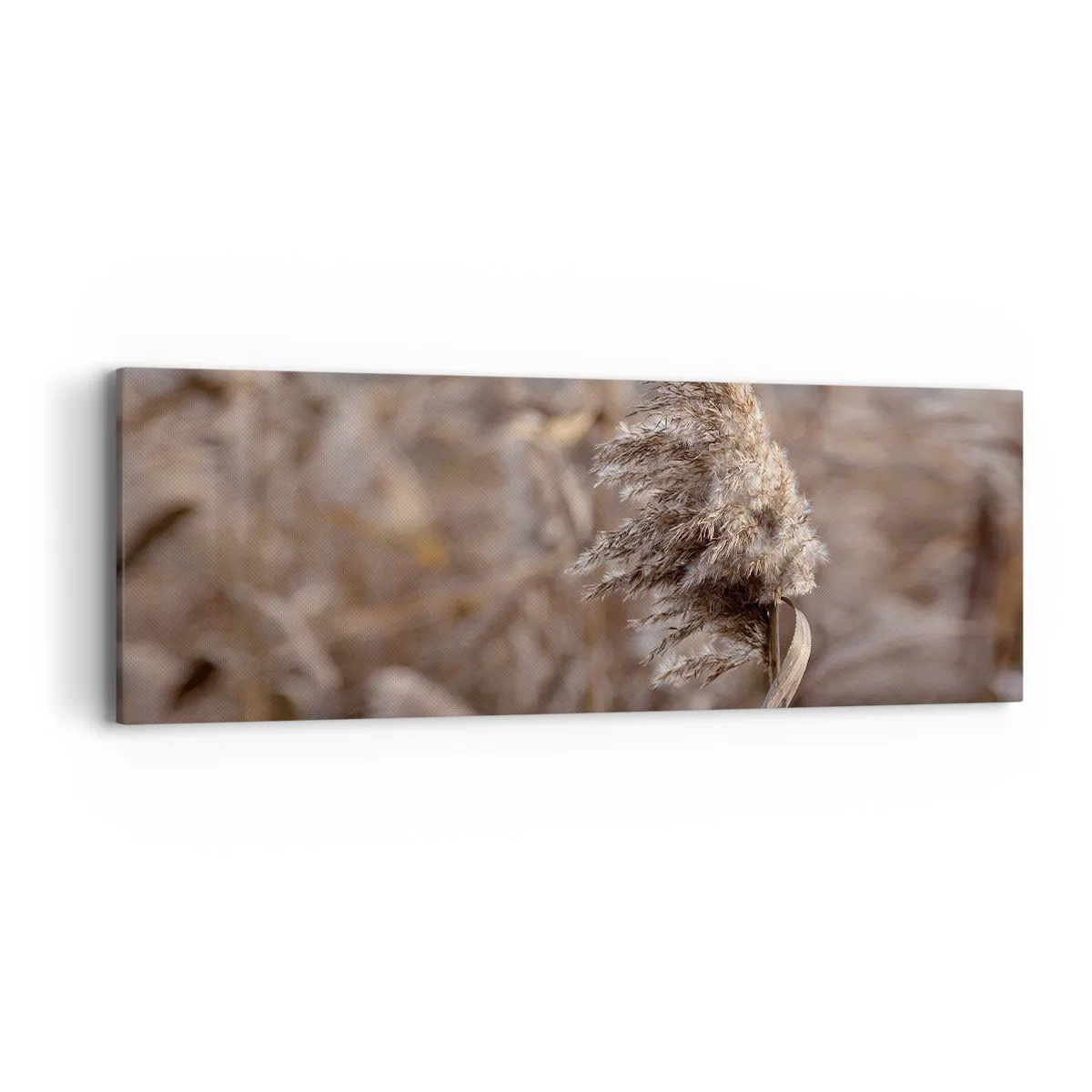 Schilderen op canvas - Tijd om met de wind mee te gaan - 90x30 cm