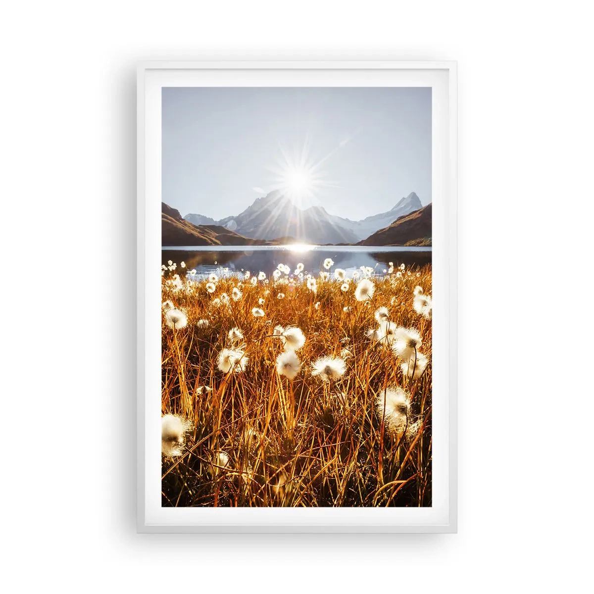 Poster in een witte lijst - Steenhardheid, graszachtheid - 61x91 cm