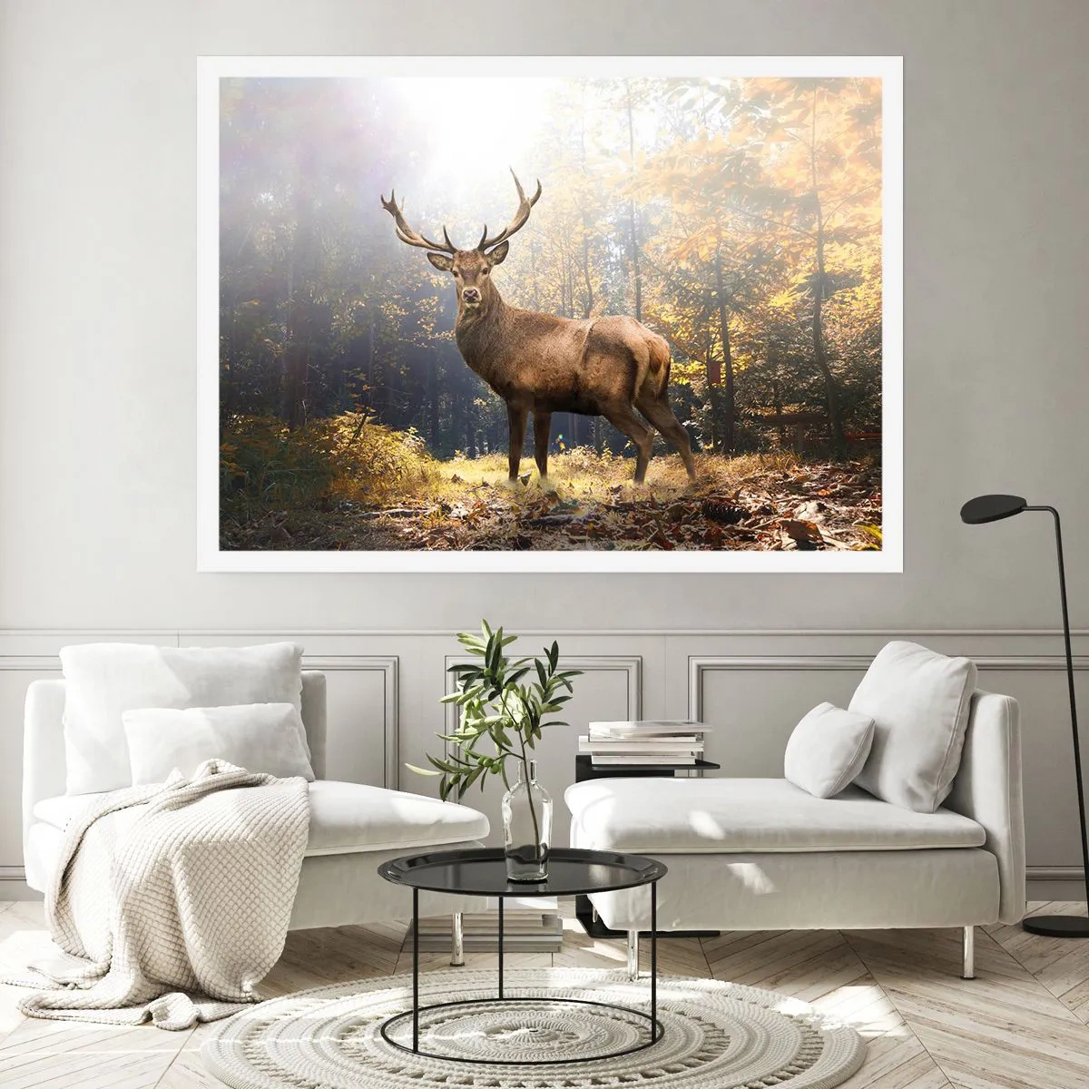 Poster - In volle majesteit - 50x40 cm