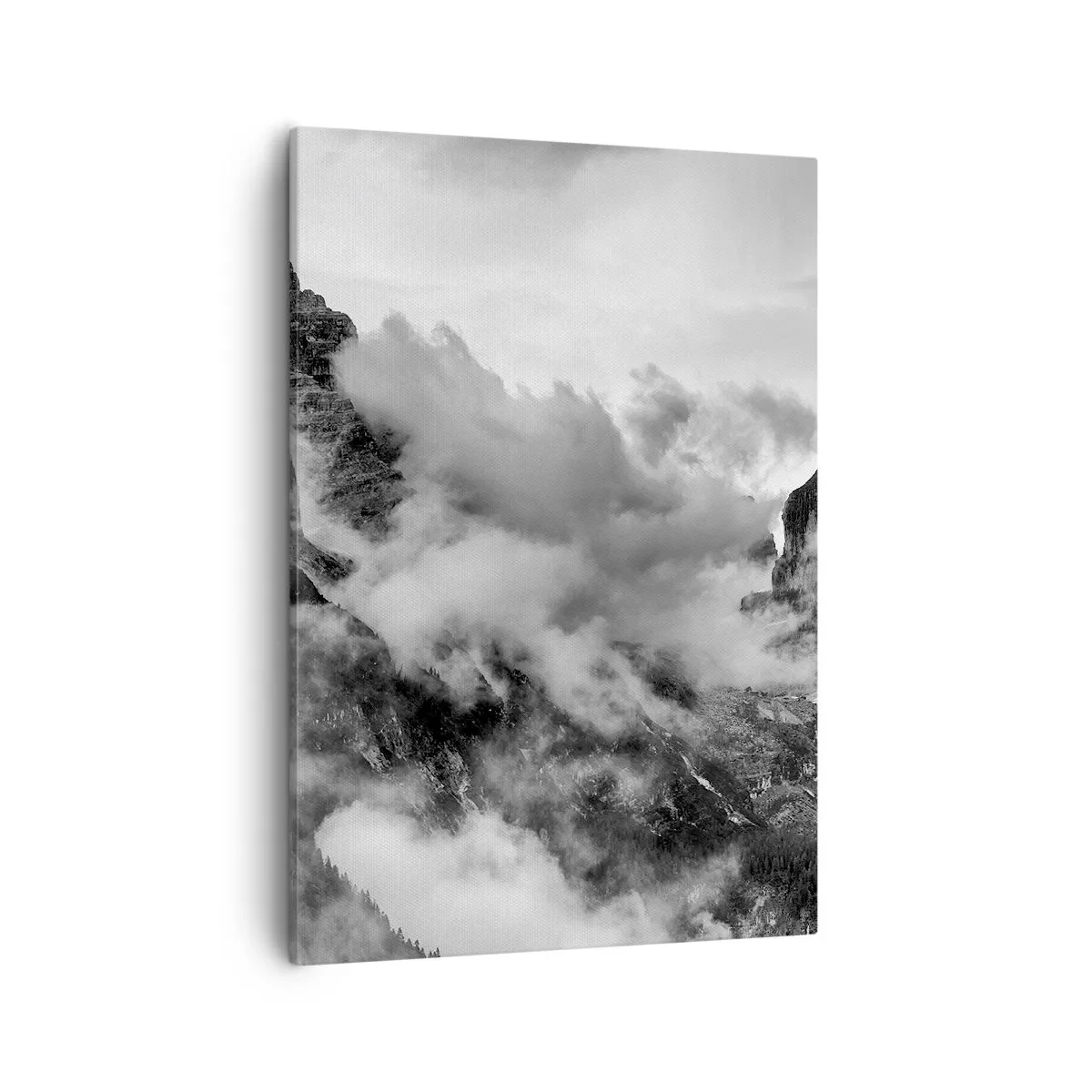 Schilderen op canvas - Mooi en wreed - 50x70 cm