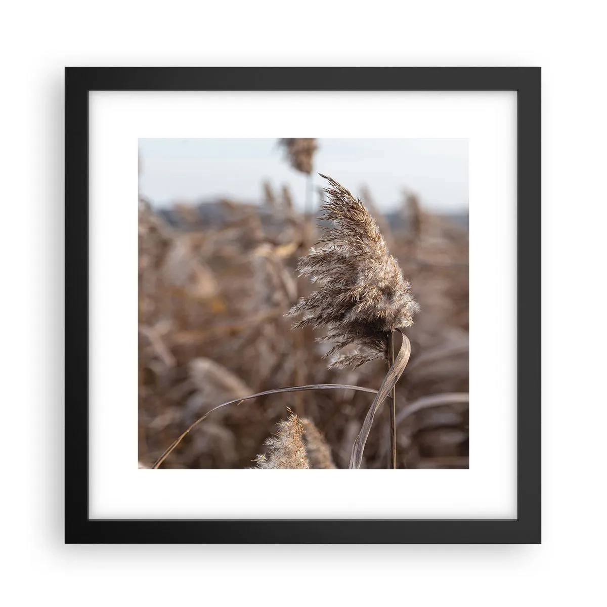 Poster in een zwarte lijst - Tijd om met de wind mee te gaan - 30x30 cm