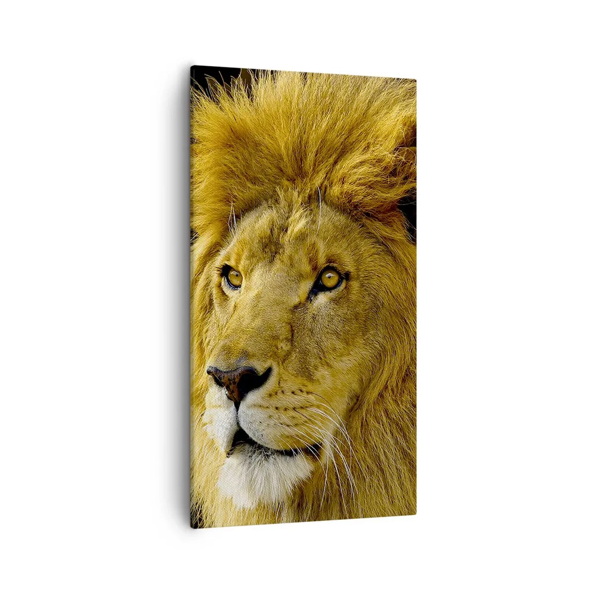 Schilderen op canvas - Portret van de koning - 55x100 cm