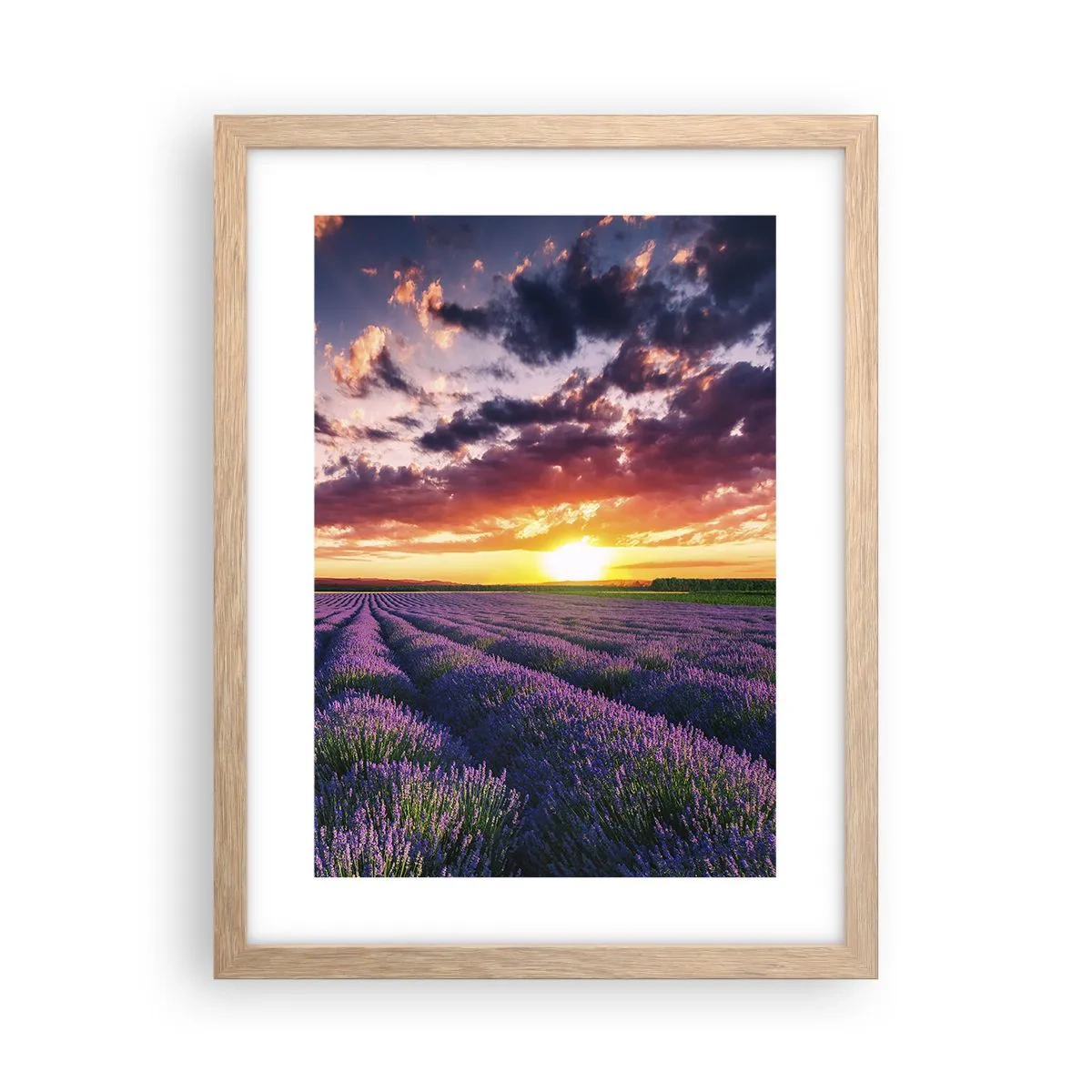 Een poster in een licht eiken lijst - Lavendel wereld - 30x40 cm